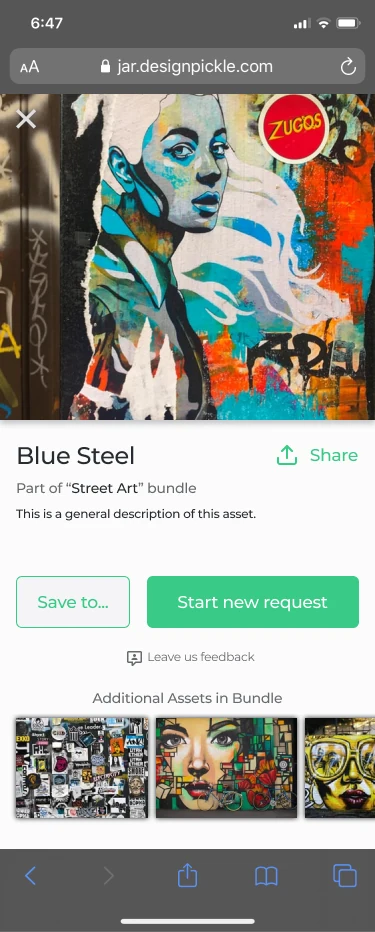 FreshStock mobile Asset Detail for Blue Steel with save and request actions