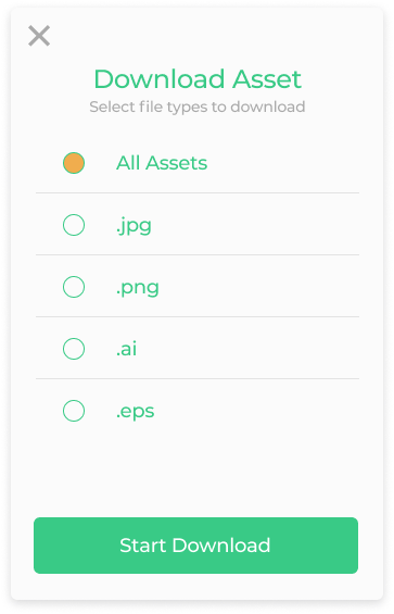 Download Asset modal with selectable file types